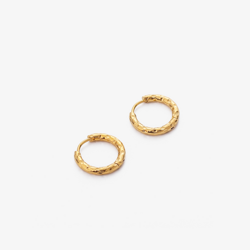 Hammered Hoop Earrings
